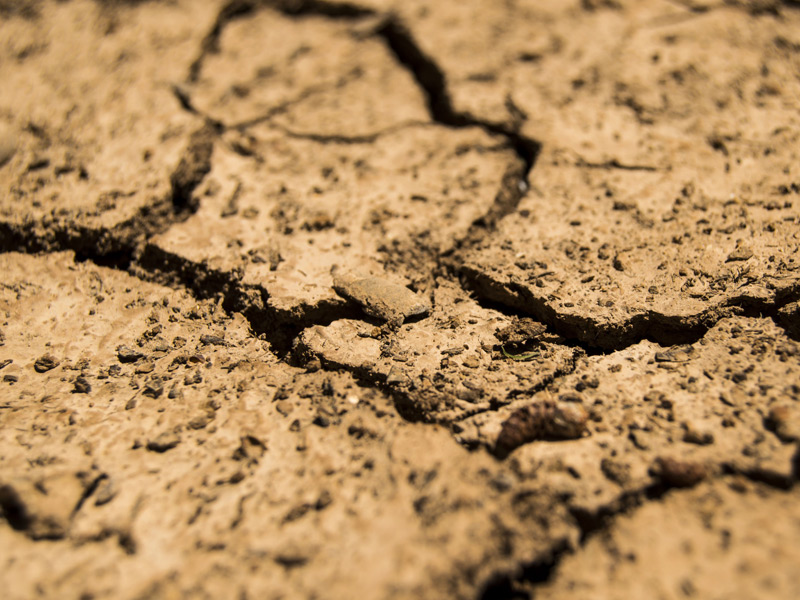 Effets sur les sols - Effects on soils